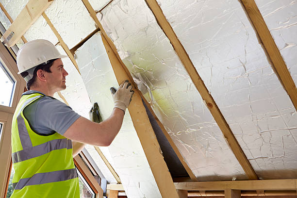 Best Commercial Insulation in Williamson, AZ